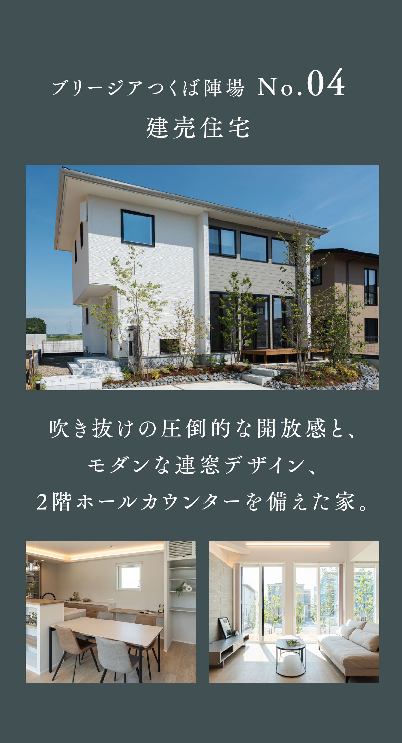 画像：ブリージア陣場No.4