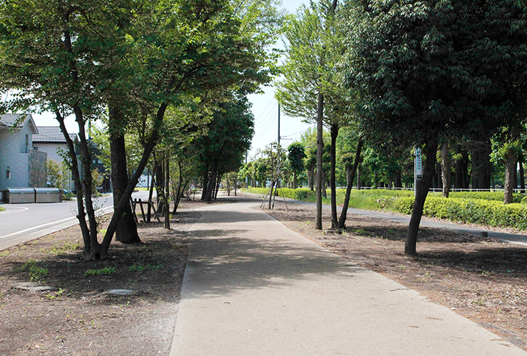 自然に囲まれた安全で健康的な暮らし