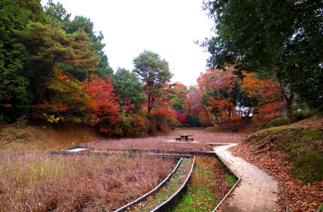 馬渡はにわ公園