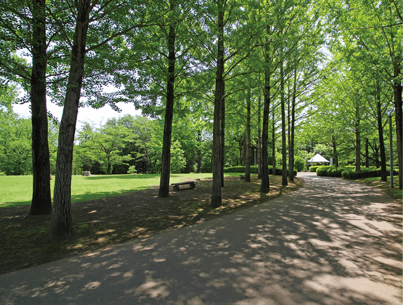 万博記念公園