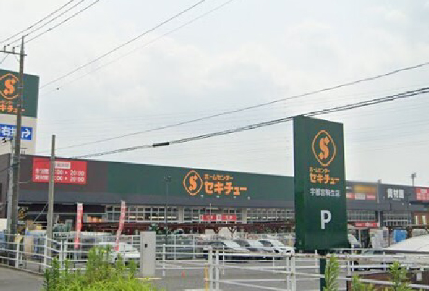 セキチュー宇都宮駒生店