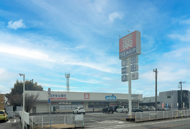 ドラッグストアコスモス田彦店