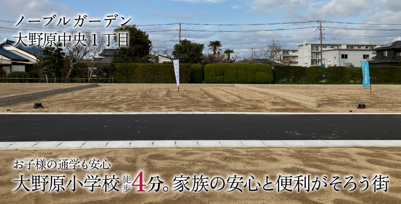 区画画像