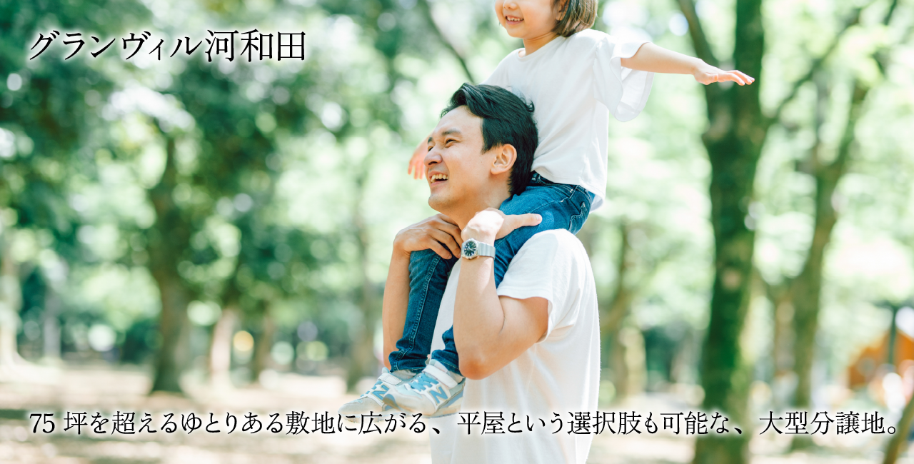 区画画像