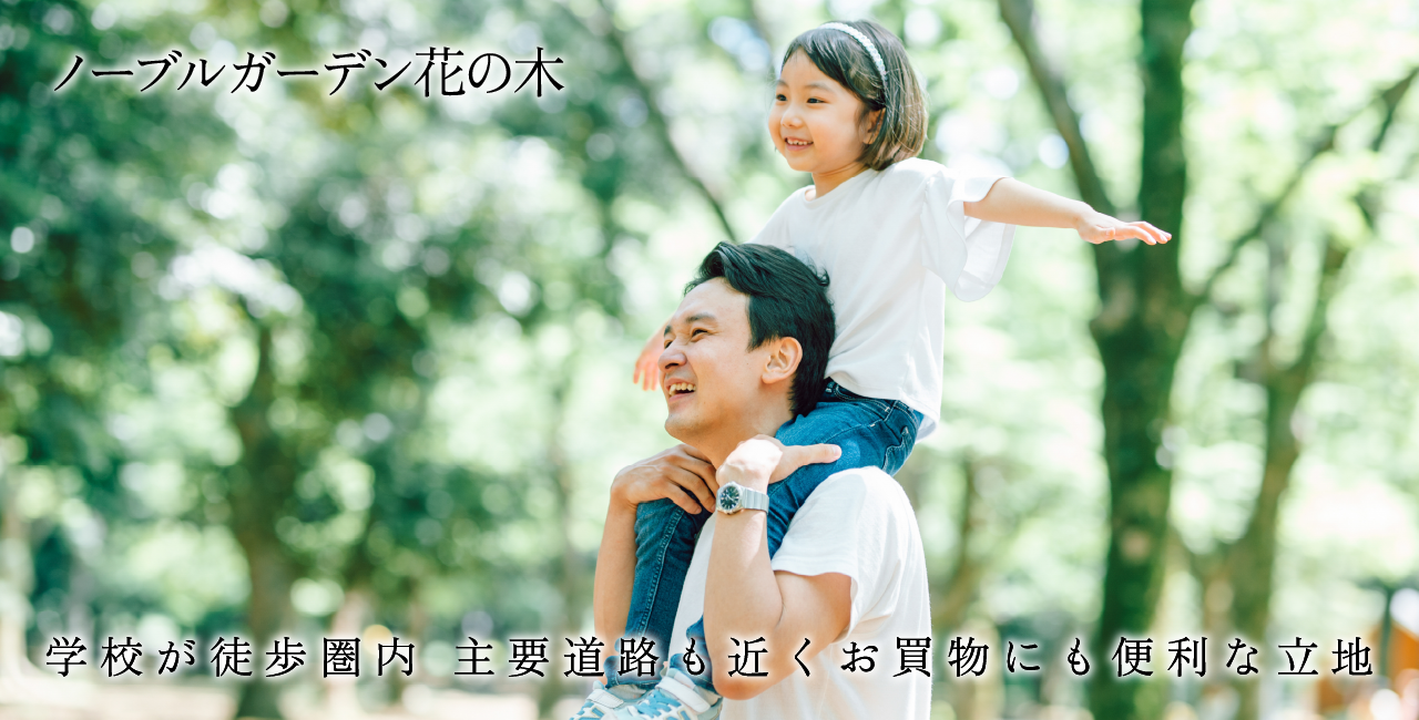 区画画像