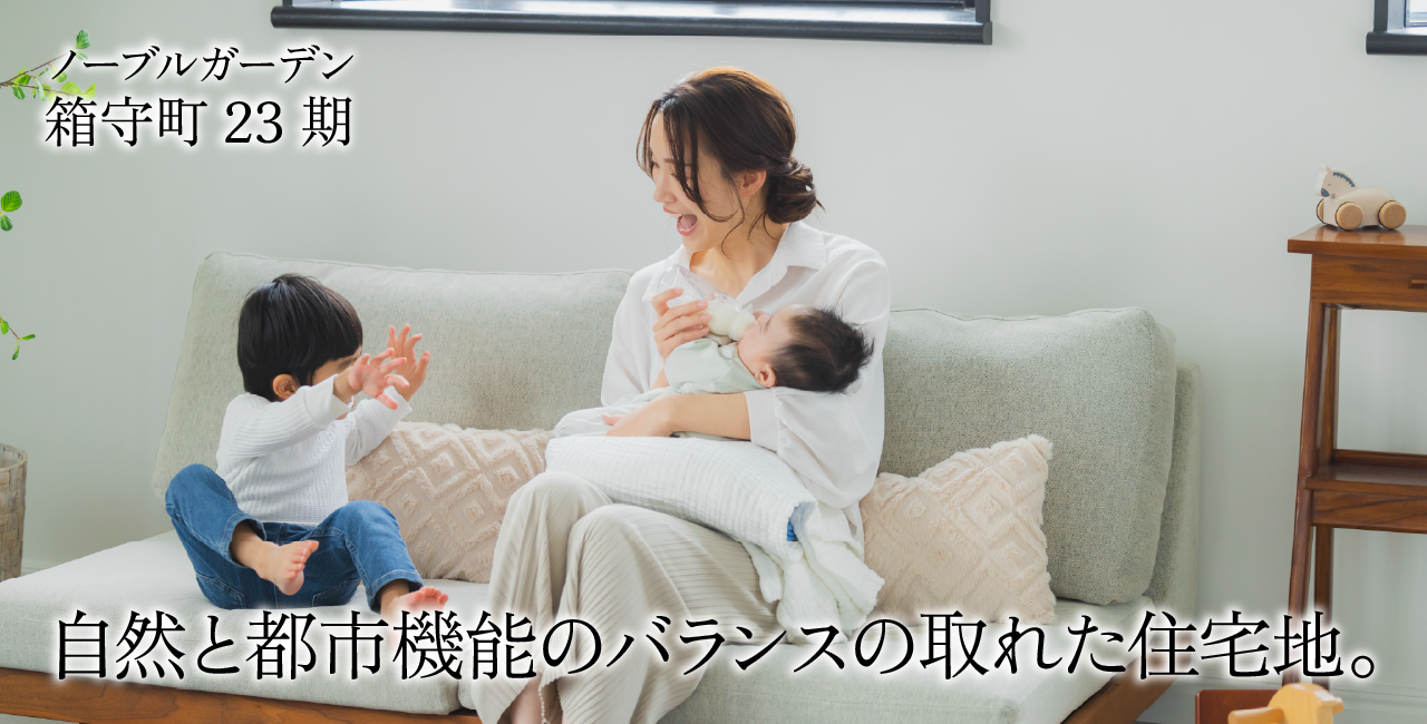 区画画像