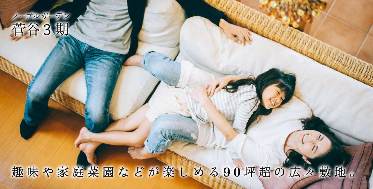 区画画像