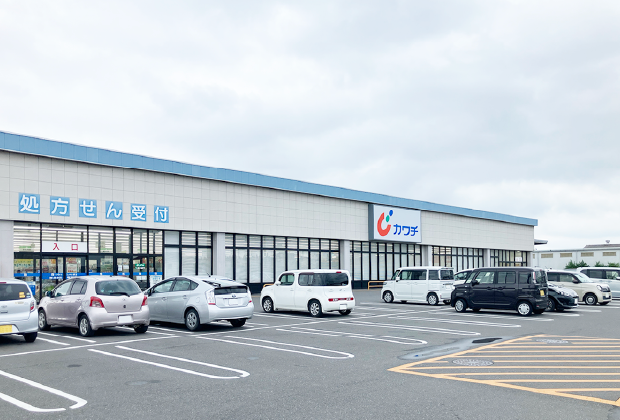 カワチ薬品 都賀インター店