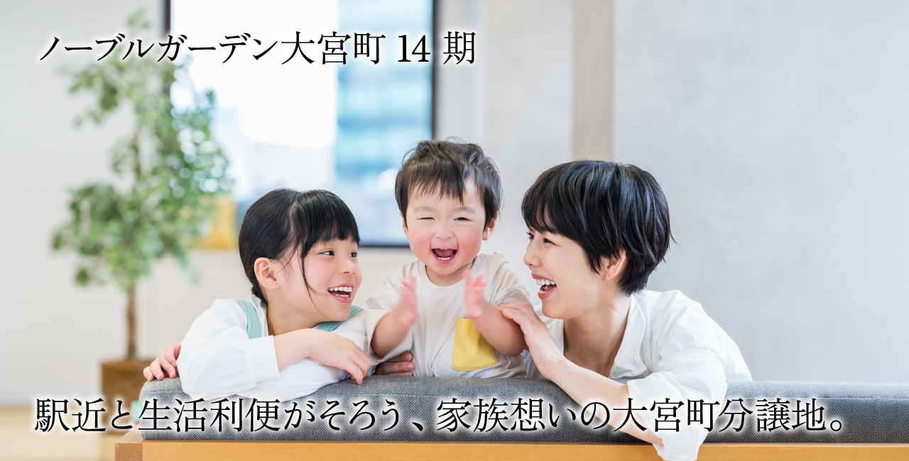 区画画像