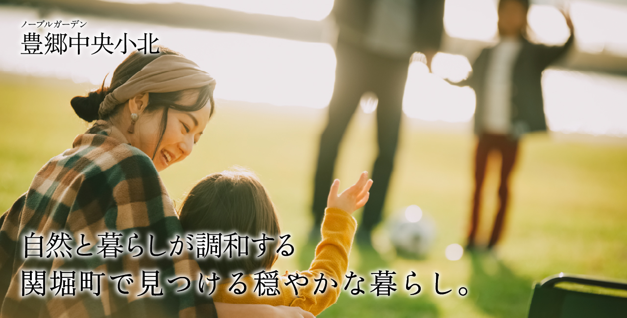 区画画像